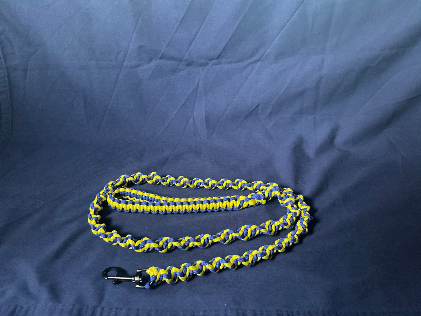 4.5ft Blue & Yellow DNA Spiral Braided Paracord Animal Lead