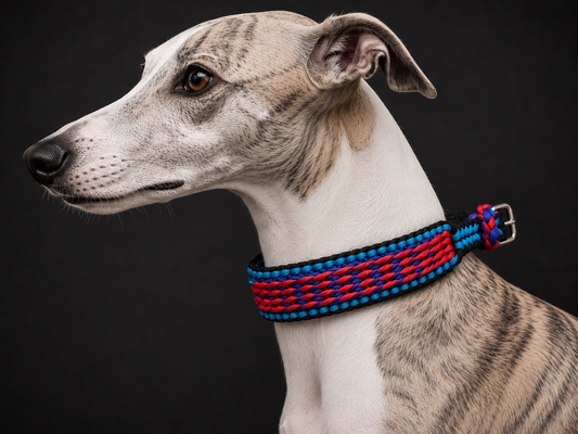 1.5” Wide 17” Long Light and dark Blue, Red & Black Candy striped Braided Paracord DogCollar Semi Adjustable.