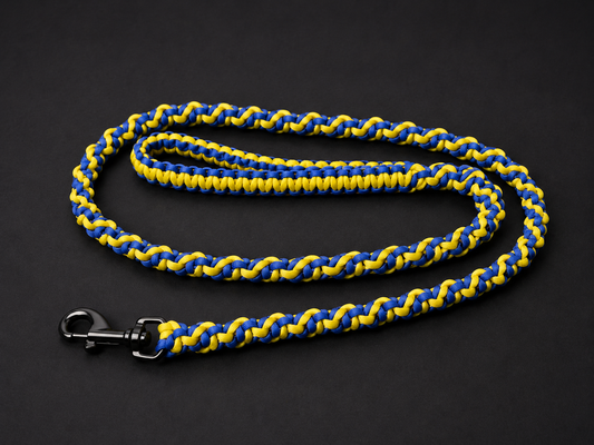 4.5ft Blue & Yellow DNA Spiral Braided Paracord Animal Lead