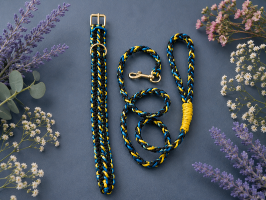 Blue & Yellow Hi Visibility Paracord Dog Collar and Leash Set