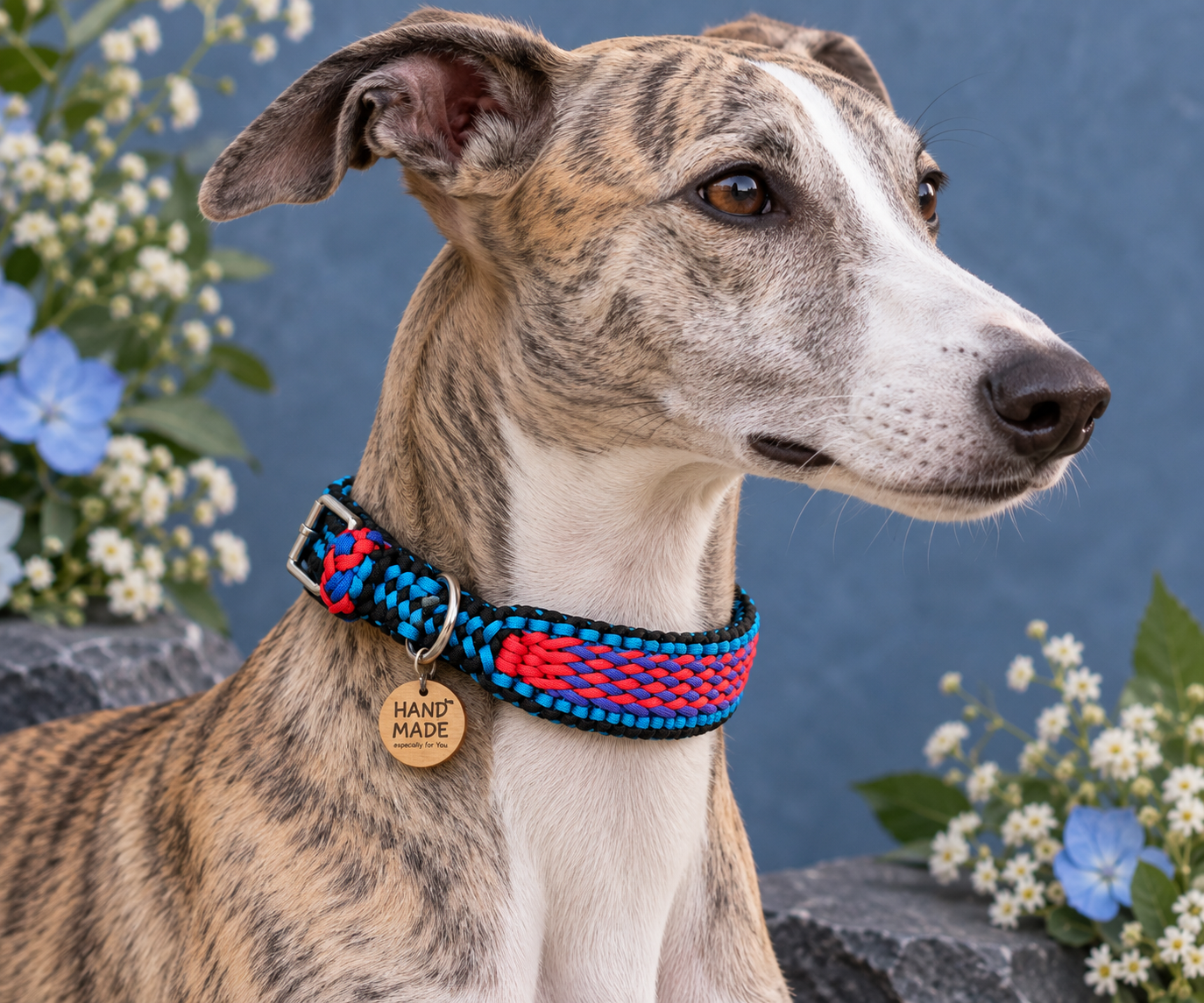 Semi-Adjustable Candy Stripe Paracord Sighthound Collar