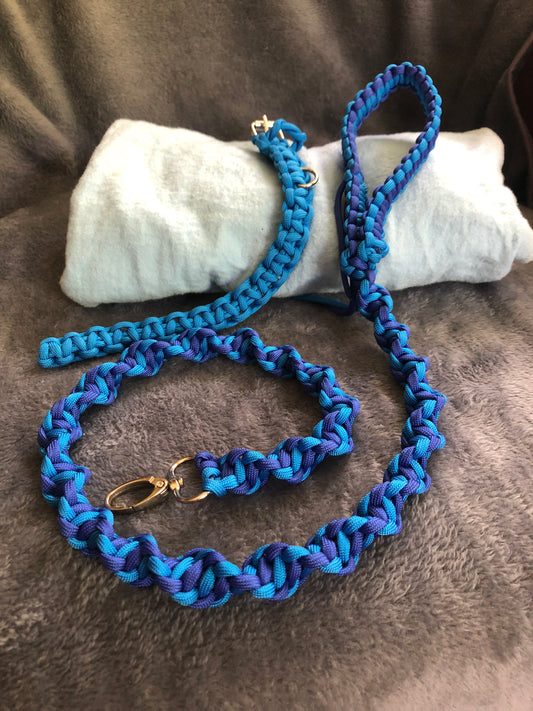 Blue DNA Spiral Paracord Puppy 3ft Lead and 9" collar set