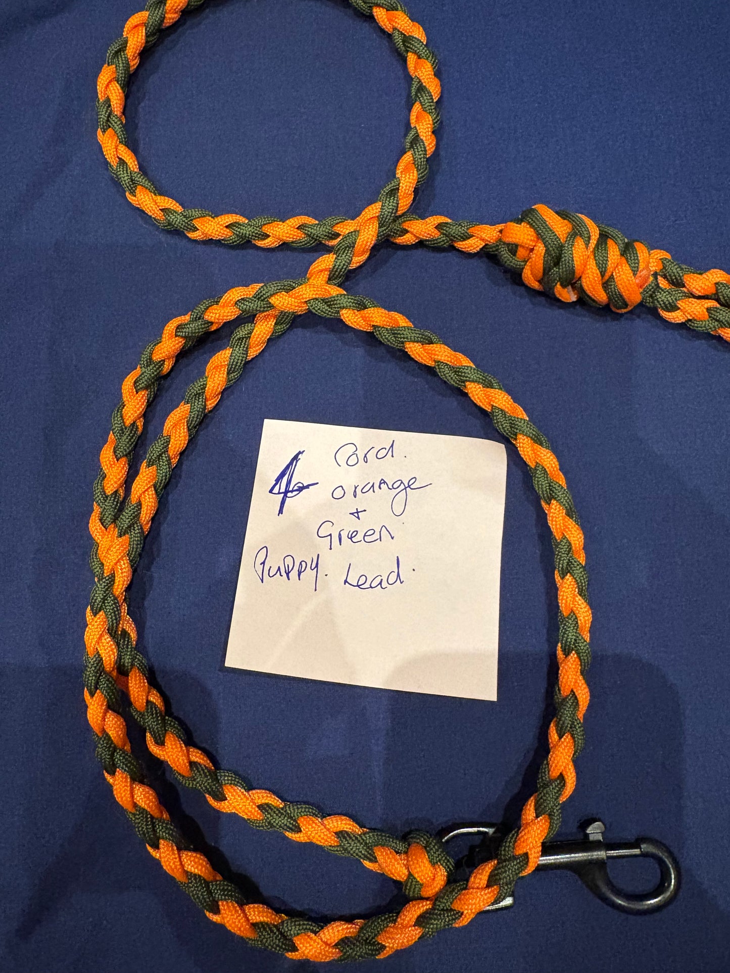 Orange & Green Braided Paracord Animal Lead