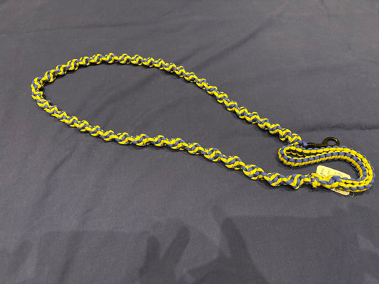 4.5ft Blue & Yellow DNA Spiral Braided Paracord Animal Lead