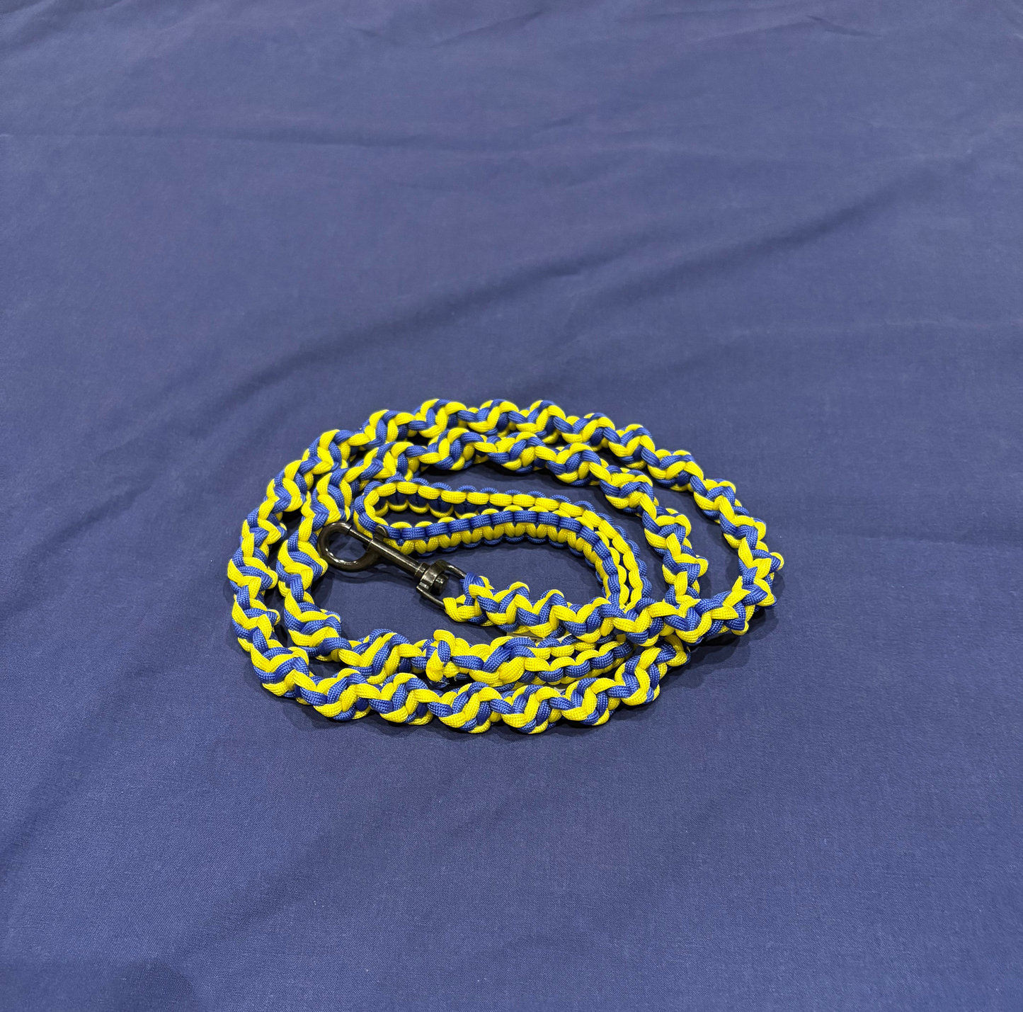 4.5ft Blue & Yellow DNA Spiral Braided Paracord Animal Lead