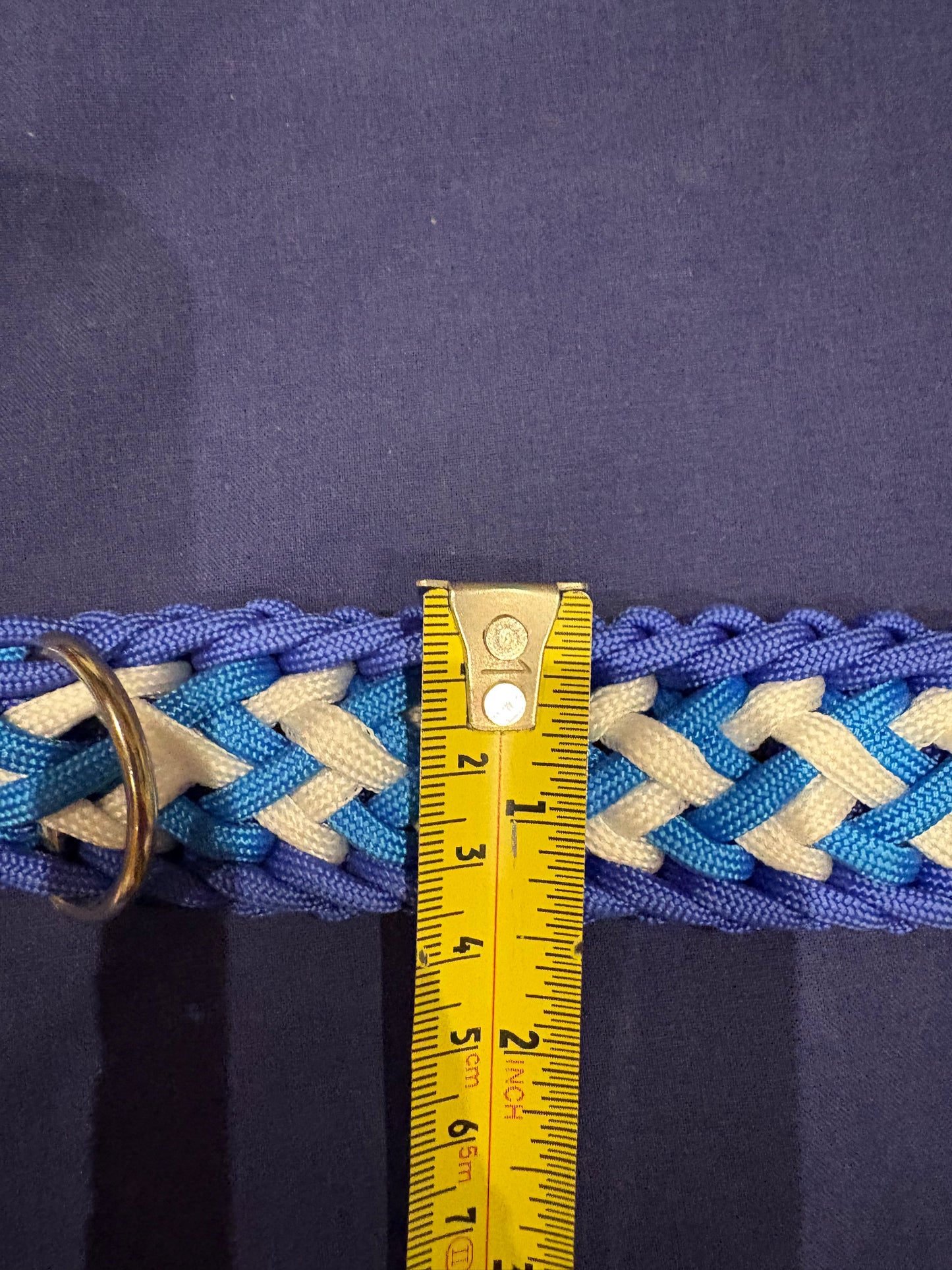 1.5” wide 19” long Light & Dark Blue, with white Crown Tail Paracord Adjustable Dog Collar.